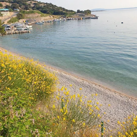 Mar - Only 50m To The